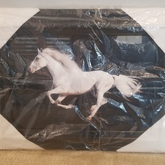 Elegant white Horse picture frame